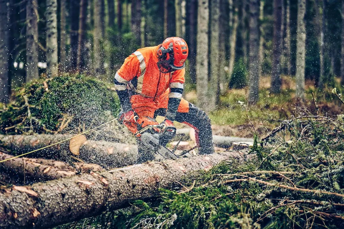 Husqvarna 560 XP® Mark II - za zahtevno delo v gozdu