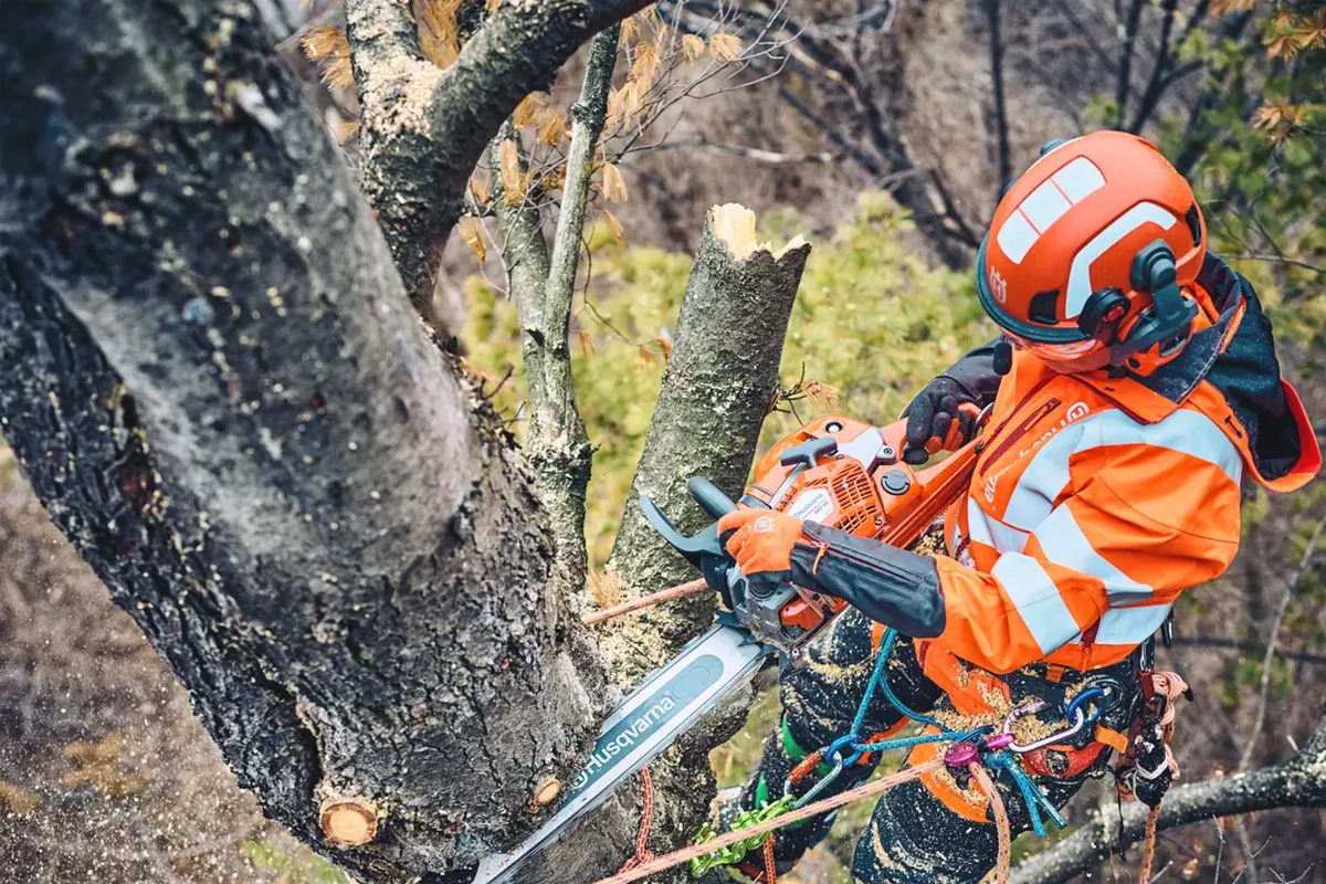 Husqvarna 560 XP® Mark II - profesionalno podiranje dreves