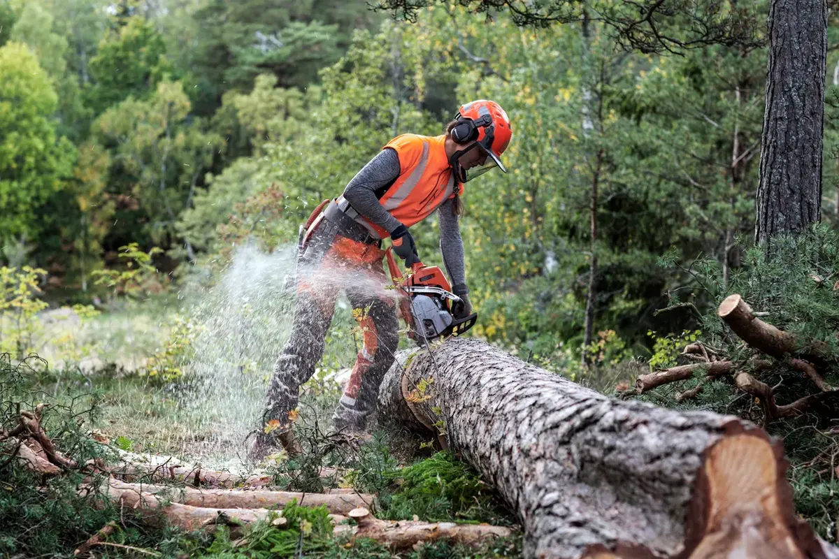 Husqvarna 550 XP Mark II delo v na terenu