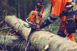 Husqvarna vbrizgavanje goriva